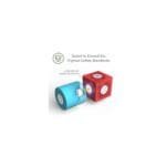 Set cuburi din spuma cu magnet Blockaroo, Barca 10 piese