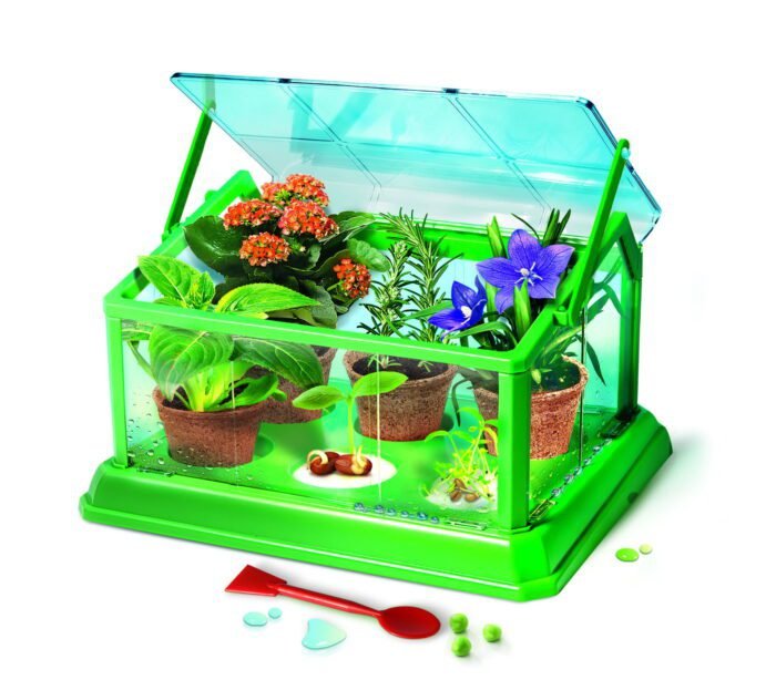 PRIMA SERA BIOLOGICA STIINTA SI JOACA - imagine 2