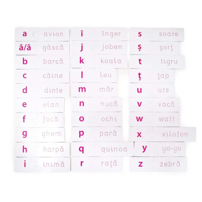 JOC INVAT LITERELE - imagine 8