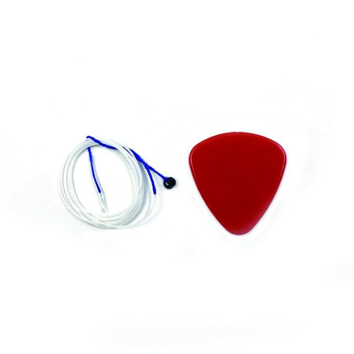 Chitara arlechin, Svoora - imagine 2