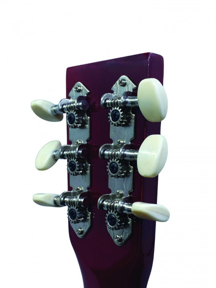 Chitara arlechin, Svoora - imagine 4