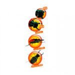 Cutie cu lupa si microscop pentru observarea insectelor, Navir