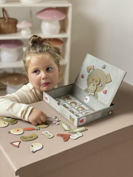 Joc magnetic Expresii, Egmont Toys