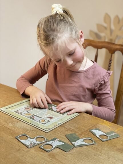 Joc magnetic Fluturi, Egmont Toys