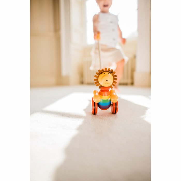 Jucarie de impins leu, Orange Tree Toys - imagine 3