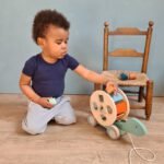 Jucarie de tras cu forme geometrice, Egmont Toys