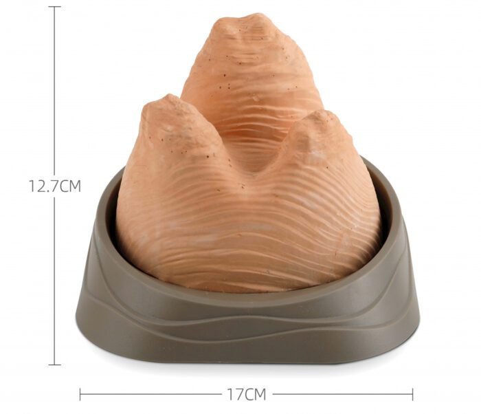 Kit STEM de excavare pietre prețioase American wave, TopBright - imagine 3