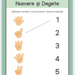 Fișă: numere și degete