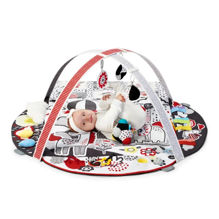 SALTEA DE JOACA EDUCATIONALA KINDERKRAFT 4SMART - imagine 9