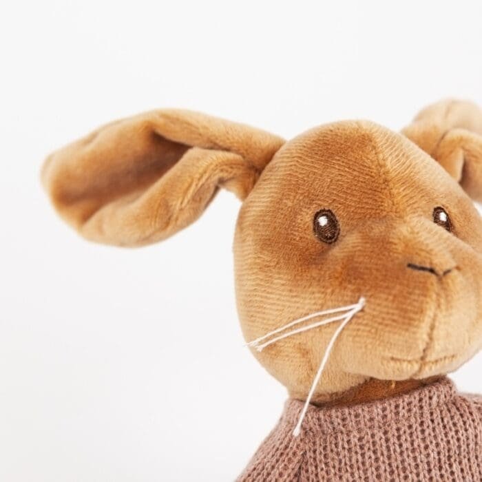 Iepuras muzical de plus Lenny, Egmont Toys - imagine 3