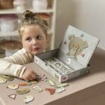 Jocuri magnetice Expresii, Egmont Toys