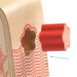 Cutie de sortat forme Multi Boita, Djeco - imagine 4