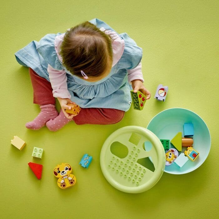 LEGO DUPLO SORTATOR DE FORME CASA PENTRU CATEI 10441 - imagine 3