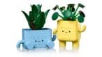 LEGO BOTANICALS PLANTE FERICITE 10349 - imagine 2