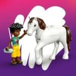LEGO FRIENDS  CLINICA VETERINARA 42696 - imagine 7
