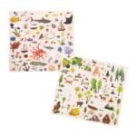 Set abtibilduri de transfer Exploratorul, Moulin Roty - imagine 2