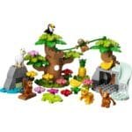 LEGO DUPLO ANIMALE SALBATICE DIN AMERICA DE SUD 10973 - imagine 2