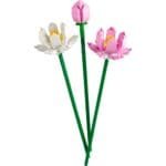 LEGO FLOWERS FLORI DE LOTUS 40647 - imagine 2