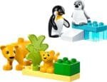 LEGO DUPLO FAMILII DE ANIMALE SALBATICE: PINGUINI SI LEI 10442 - imagine 2