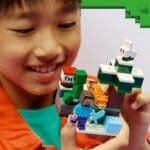 LEGO MINECRAFT AVENTURA DIN TAIGA A LUI STEVE 21583 - imagine 4