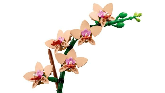 LEGO BOTANICALS MINI ORHIDEE 10343 - imagine 6