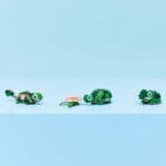 LEGO CREATOR BROASCA TESTOASA CU O FLOARE DE NUFAR 31377 - imagine 7