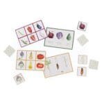 Joc educativ 2 in 1 pentru copii, Moulin Roty